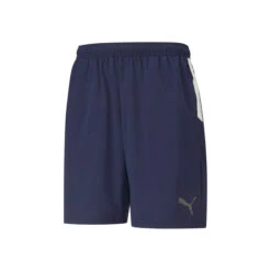 Puma TeamLIGA Sideline Shorts Men - Blue, Black