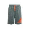 ADIDAS Big Logo Shorts Boys - Grey, Orange -Viva Wear Closet Store 16996000 000