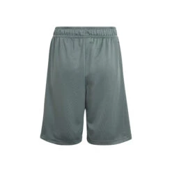 ADIDAS Big Logo Shorts Boys - Grey, Orange -Viva Wear Closet Store 16996000 0 2